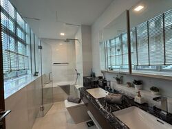 RESIDENCES AT EMERALD HILL (D9), Apartment #578971791